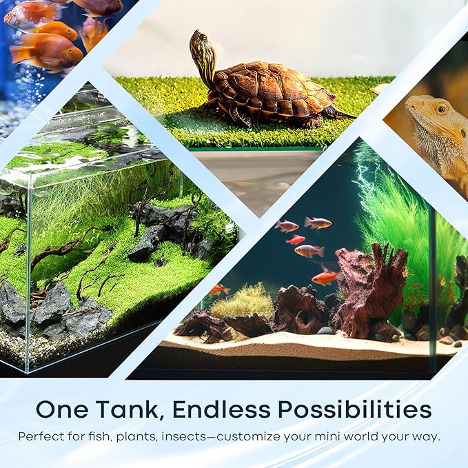 10 Gallon Glass Fish Tank, Aquarium Fish Bowl Cube for Betta Goldfish Snails Shrimp Aquatic Planting, Easy to Maintain Ultra Clear Rimless Dark Background Low Iron