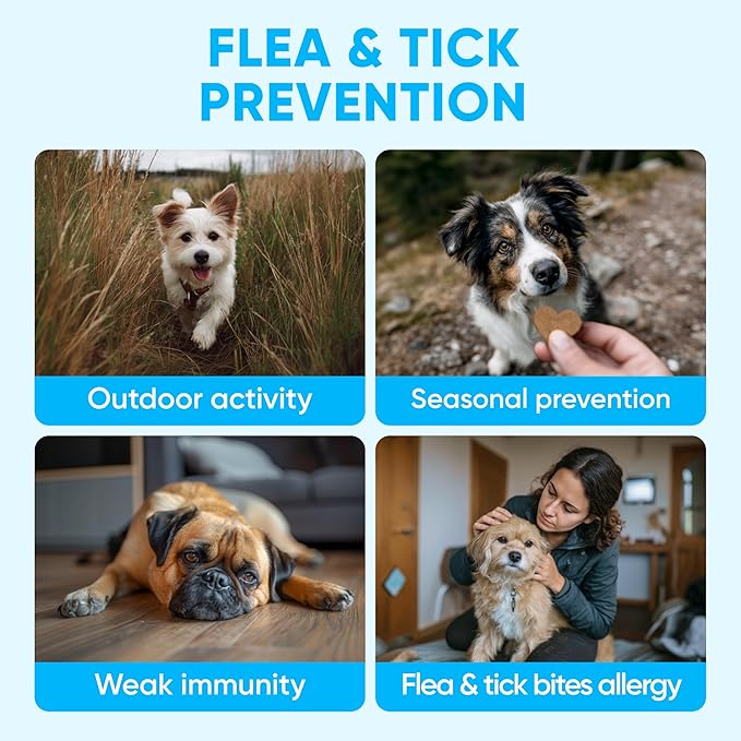 Chewable Flea and Tick Prevention for Dogs - 120 Soft Chews Made in USA - Oral Flea and Tick Control Pills for Small, Medium, Large Dogs and Puppies - Skin and Coat Supplement Treats for All Breeds
