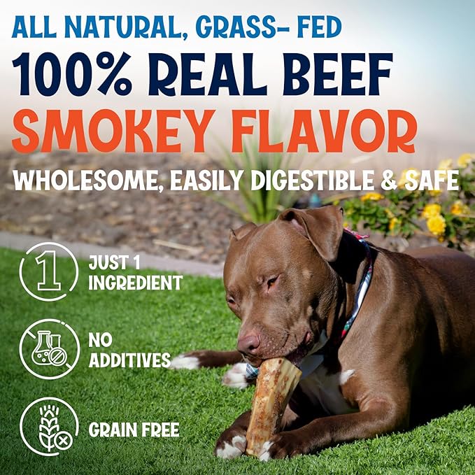Beef Marrow Bones for Dogs, 3" Bone, Long Lasting Stuffed Treats, Tasty and Healthy Snack for Small and Medium Sized Pets, (12 Pack)