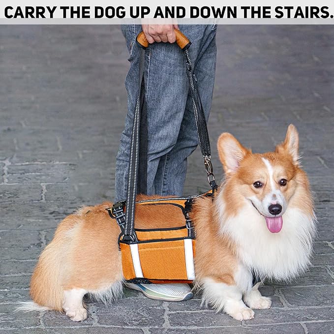 COODEO Mobility Dog Lift Harness, Emergency Carry Sling, Pet Rear Leg Support Rehabilitation Lifts Vest, Dog Carrier for Senior Dogs Joint Injuries, Arthritis (Orange, M)