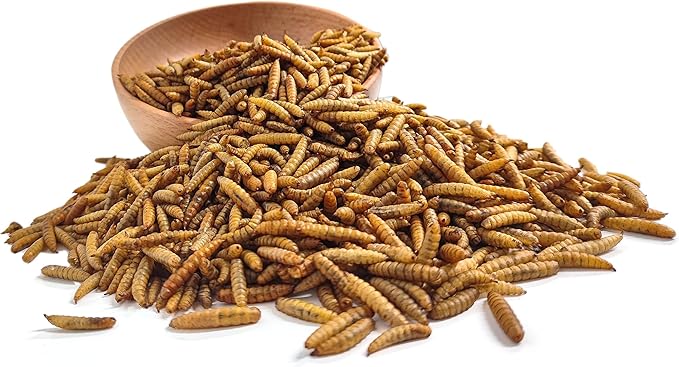 Premium Chicken Treats 5LB - Non-GMO & 85X More Calcium Than Meal Worms - Molting & Laying Supplement - BSF Larvae Treats for Layer Hens, Ducks Wild Birds