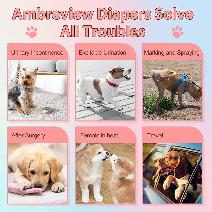 Ambreview Disposable Dog Diapers Female, Just Pull It Up, Doggie Diapers for Female Dogs, Strong Absorbency | Leak Proof, for Dogs in Heat | Elderly | Disabled, S 10 PCS