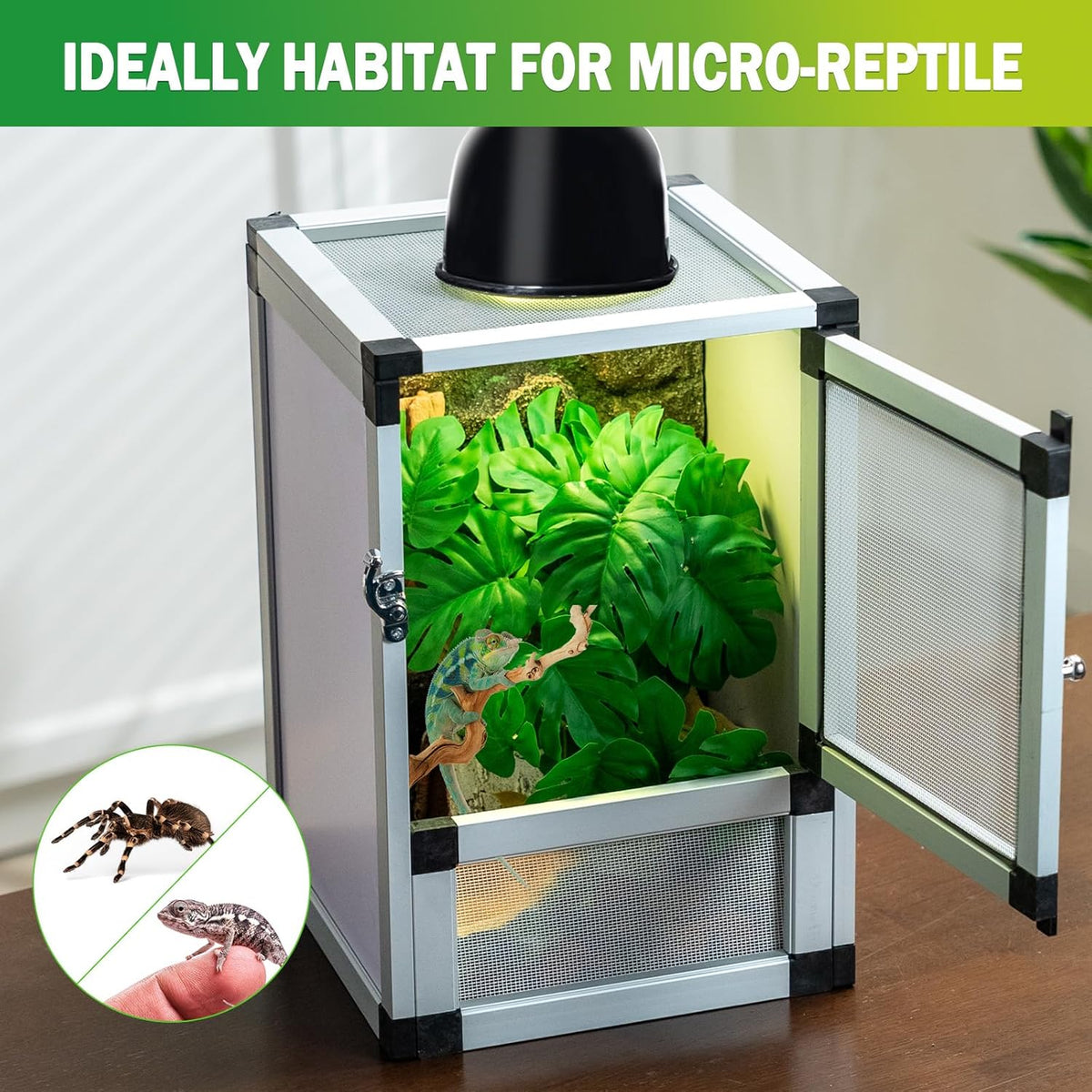 Small Reptile Cage 8" x 8" x 12", Hatching Habitat, Dual Doors, Screen & Acrylic Ventilation, Easy Assembly, for Lizards, Frogs, Geckos