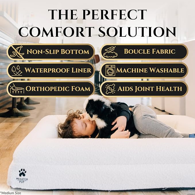 Luxury Boucle Fabric Orthopedic Dog Bed with Memory Foam | Breathable Comfort & Washable Dog Couch Bed with Waterproof Liner & Cover | Ideal Pet Beds for Small Dogs - Charcoal (29"x23"x6")