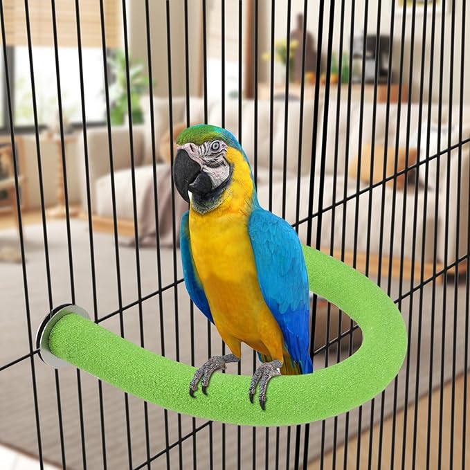 Rypet U Shape Parrot Perch Stand Toy for Paw Grinding Clean Stick Exercise, Rough-Surfaced Quartz Bird Perch Standing Cage Accessories for for Small Parakeets Cockatiels Conures Macaws Finches(Green)
