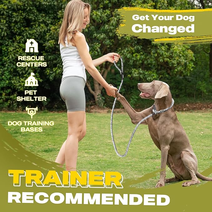 Fida Durable Slip Lead Dog Leash, 6 FT x 3/8" Heavy Duty Comfortable Strong Rope Slip Lead for Small Dogs and Puppies, No Pull Pet Training Leash with Highly Reflective(3/8", Grey)