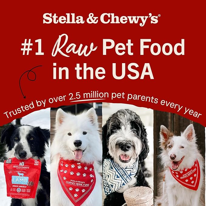 Stella & Chewy's Freeze-Dried Raw Tantalizing Turkey Meal Mixers- Dog Food Topper and Mixer - Made with 95% Cage-Free Turkey, Organs & Bone - Perfect for Picky Eaters - Grain-Free - 3.5 oz