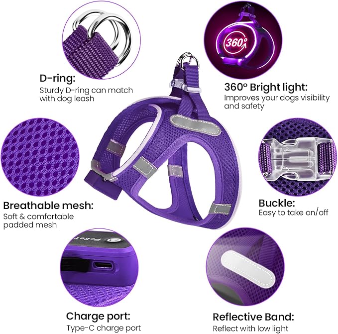 PceoTllar Light Up Dog Harness, LED No Pull Reflective Dog Harness, Flashing Lighted for Night Walking - Small/Medium, (Purple,L)