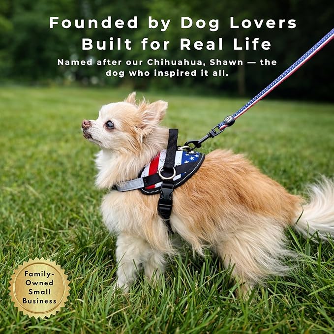 ShawnCo Essential Dog Harness, No-Pull Pet Vest with 3 Leash Clips, No Choke, Reflective, Adjustable and Padded, for Easy Walking and Training for Small, Medium and Large Dogs (Midnight, XL)