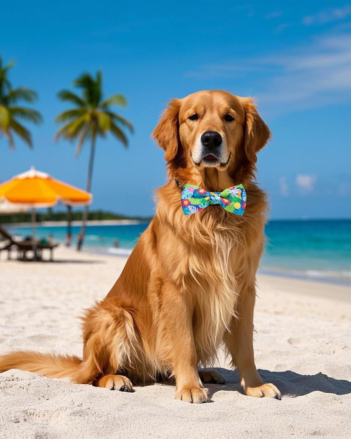 PET SHOW 10 Pack Summer Big Dog Bow Ties for Large Medium Dogs Sliding Collar Attachments Hawaiian Bowties Floral Fruit Bowknots Party Holiday Pet Grooming Accessories(Large)