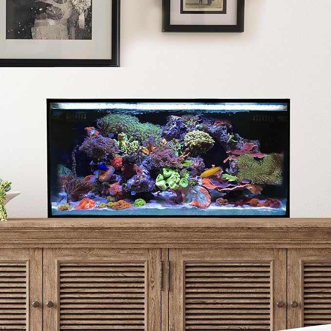 Innovative Marine Starter Kit Aquariums (25 Gallon Lagoon)