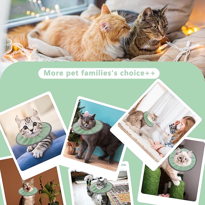 Lightweight Cat Cone Collar Soft, Soft Comfortable Cat Recovery Collar After Surgery, Elizabethan E Collar for Cats, Cone for Cats to Stop Licking (Mint Green, Large)