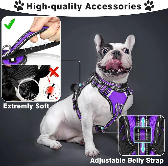 WINSEE Pet Harness Collar and Leash Set, All-in-one Reflective Dog Harness No Pull with Adjustable Buckles for Puppies, Small, Medium, Large, and Extra-Large Dogs (X-Large, Purple)