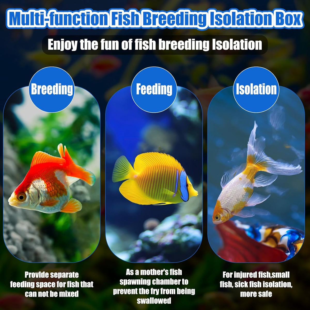 2 Pcs Breeder Box for Fish Tank Aquarium Breeder Separation Net Breeding Box with Suction Cup for Small Fish Shrimp Clownfish Guppy(White,M)