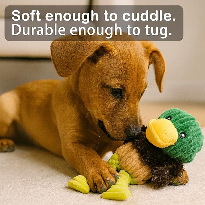 Jalousie Plush Toys Assortment Value Bundle Puppy Pet Mutt Squeak Toy for Medium Large Dogs (5 Pack Knotted)