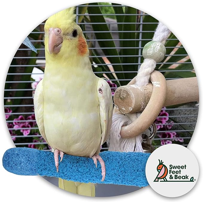 Sweet Feet and Beak Comfort Grip Safety Perch for Bird Cages - Pedicure Perch for Birds to Keep Nails and Beaks in Top Condition - Safe Easy to Install Bird Cage Accessories - Small 6.5"