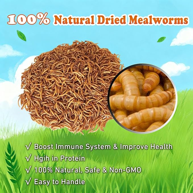 Amzey Dried Mealworms 2 LB, 100% Natural Meal Worms for Chicken & Birds, Organic Chicken Feed for Laying Hens, High Protein and Nutrition, Zipped Bag