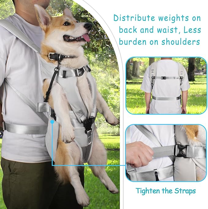 PetBonus Pet Front Dog Carrier Backpacks, Adjustable Pet Backpack, Legs Out Easy-fit Puppy Chest Carrier for Medium Small Dogs, Hands Free for Hiking, Cycling (Grey, M)