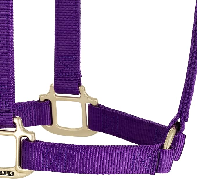 Weaver Equine Nylon Horse Halter, Triple-Ply Cheek Design, Original Non Adjustable Halters for Horses, Equine Tack,Average Size, Black