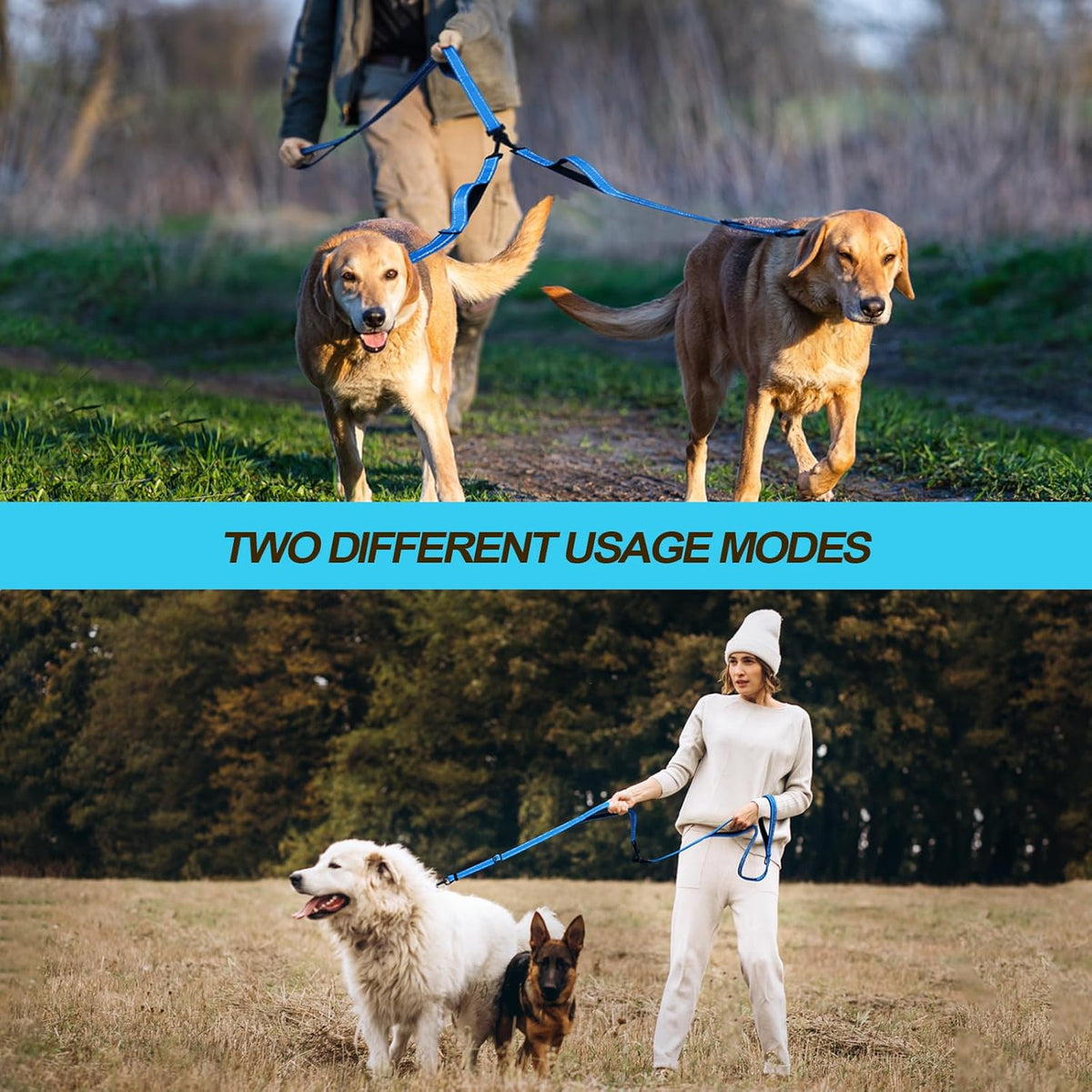 PetBonus Double Dog Leash, No Tangle Dual Leash, Reflective Walking Training Lead, 4 Comfortable Padded Handles for 2 Dogs with Collapsible Bowl and Waste Bags (Light Blue, Large)