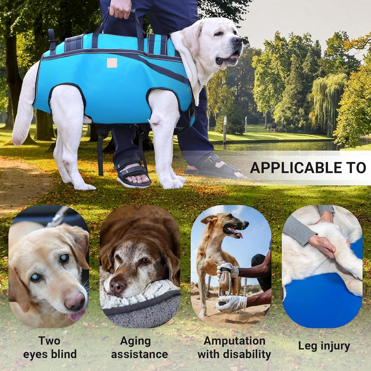 Dog Lift Harness Backpack Carrier for Large Dogs, Full Body Sling with Handle, Dog Harness for Joint Injuries, Arthritis, Ideal for Stairs, Elderly Dogs (Blue XXX-Large 66-83 LBS)
