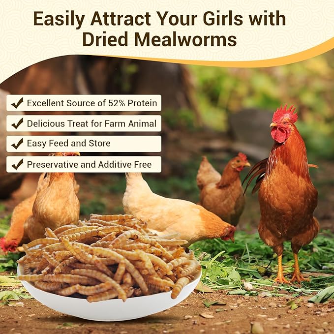 Dried Mealworms 5Lbs, High-Protein Bulk Mealworms, 100% Non-GMO Mealworm Treats for Birds, Chickens, Turtles, Fish, Hamsters and Hedgehogs All Natural Animal Feed