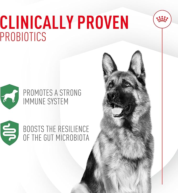 Royal Canin Probiotics for Dogs Digestive and Immune Health Powder Supplement for Dogs of All Ages, 7 Count