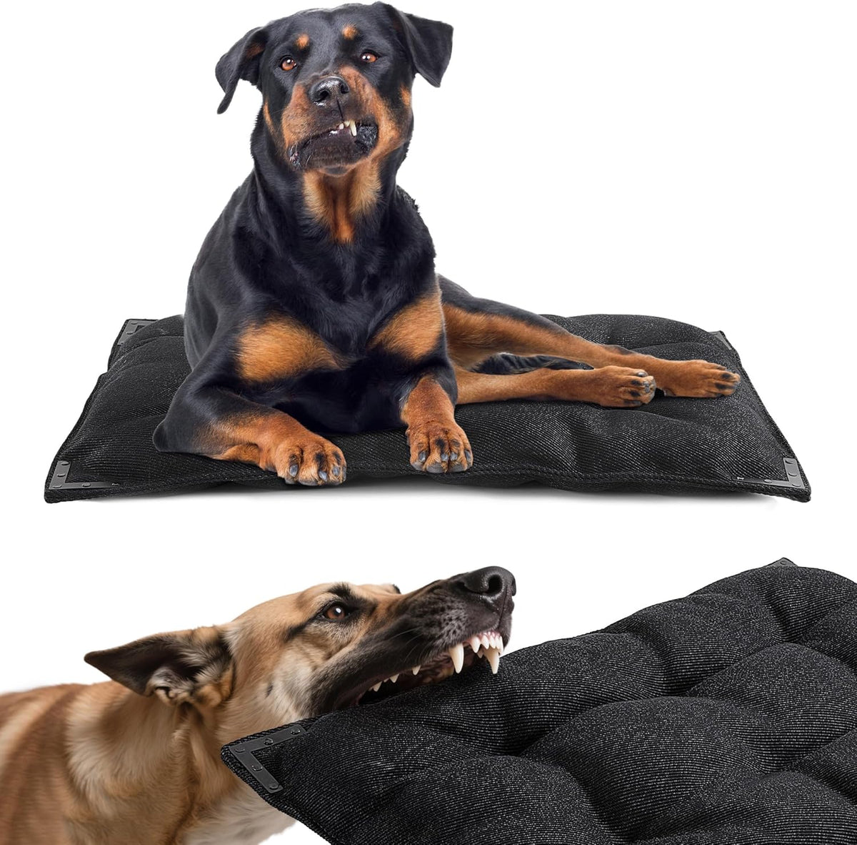 BALAPET Chew Proof Dog Bed with Metal Rivet Corner for Large Dogs, Stable Kennel Pad Mat for Teething Puppy, Durable Indoor Outdoor Crate Pad for Medium Dog Crates, 41"x28"