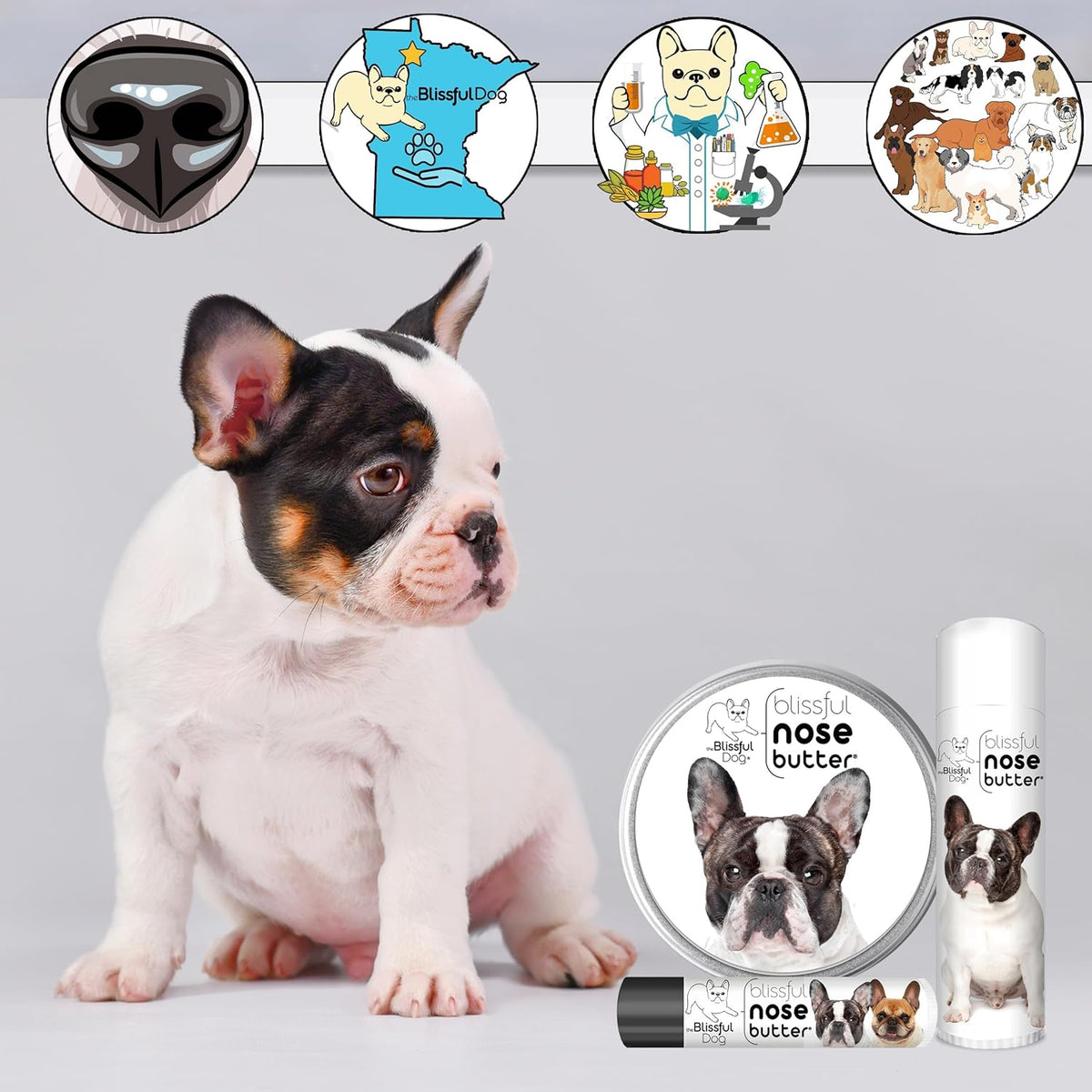 The Blissful Dog Pied French Bulldog Unscented Nose Butter - Dog Nose Butter, 16 Ounce