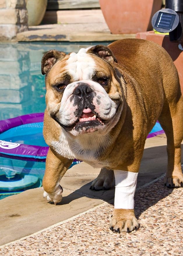 Protective Sleeve Tubular Cover - Bandages - for Dogs Cats & Other Pets First Aid Wound Care Non-Adhesive Disposable Breathable Water Resistant 7 Strips (yields 14-21 Covers) (Small 12pk)