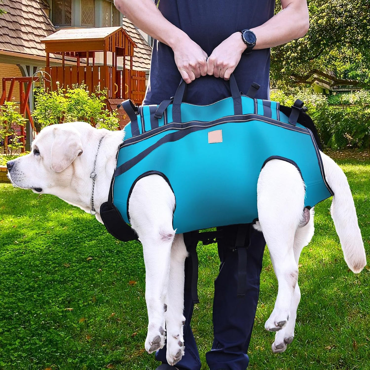 Dog Lift Harness Backpack Carrier for Large Dogs, Full Body Sling with Handle, Dog Harness for Joint Injuries, Arthritis, Ideal for Stairs, Elderly Dogs (Blue XXX-Large 66-83 LBS)