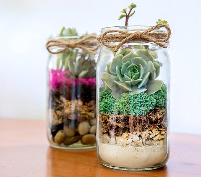 SuperMoss (90412) Terrarium Jar DIY Kit – Build Your Own Mini Garden in a Jar, Idea for Budding Gardeners, Creative Kids & Plant Lovers of All Ages, 32oz, Newport