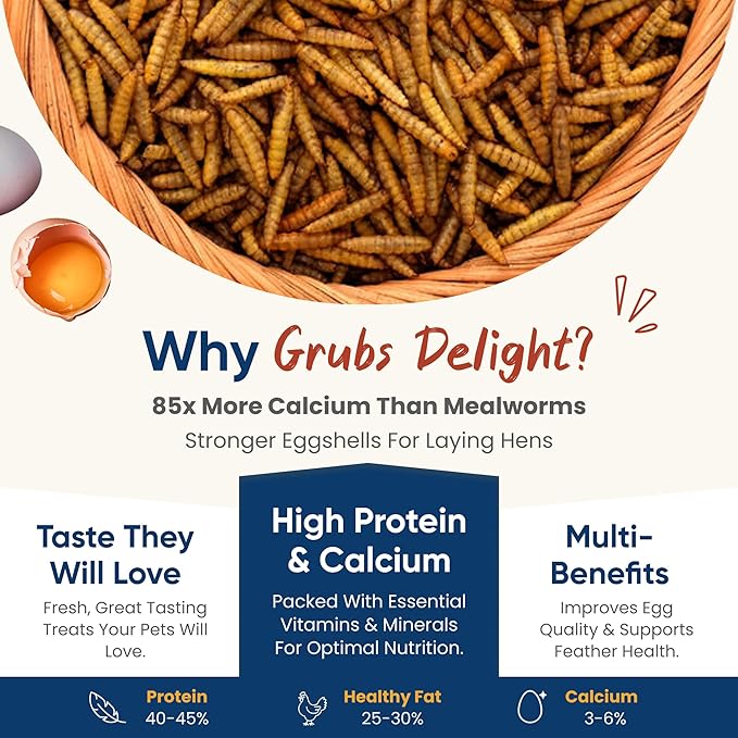 2LB Dried Black Soldier Fly Larvae for Chickens – 85x More Calcium Than Mealworms, for Chickens and Birds, 100% Natural Non-GMO Chicken Worms Treats, High Protein & Calcium Poultry Feed
