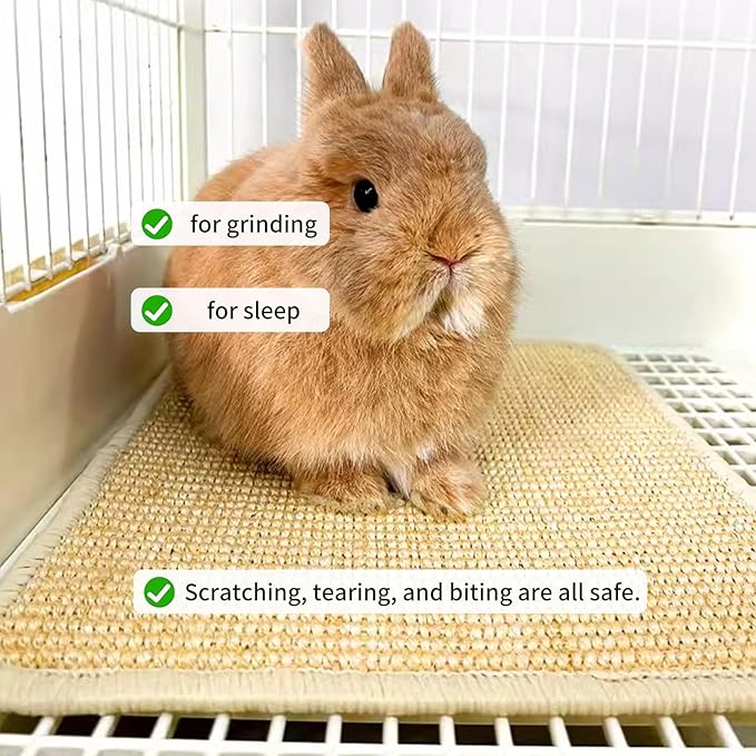 Oncpcare 4PCS Rabbit Scratch Mat - Natural Bunny Scratching Pad for Claws & Teeth Care, Cages & Pet Cage Bedding for Biting, Sleeping & Nesting, 24x16