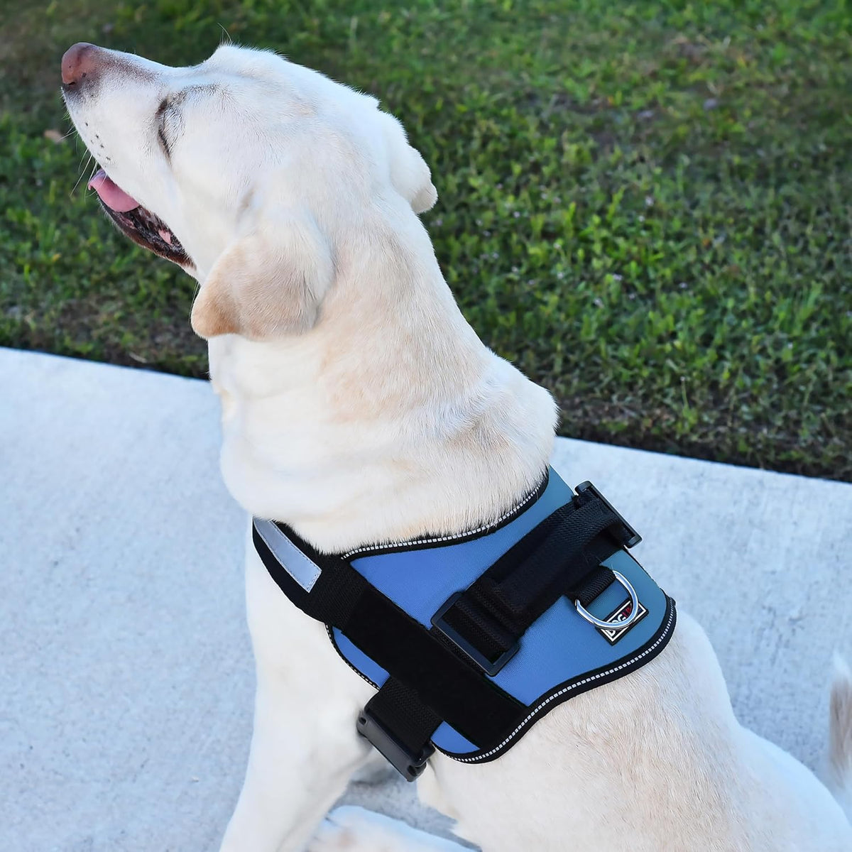 Dogline Dog Harness, Reflective No-Pull Adjustable Vest with Handle for Walking, Training, Breathable, No - Choke Harness for Small, Medium or Large Dogs Room for Patches Girth 27 to 34 in Cyan Blue