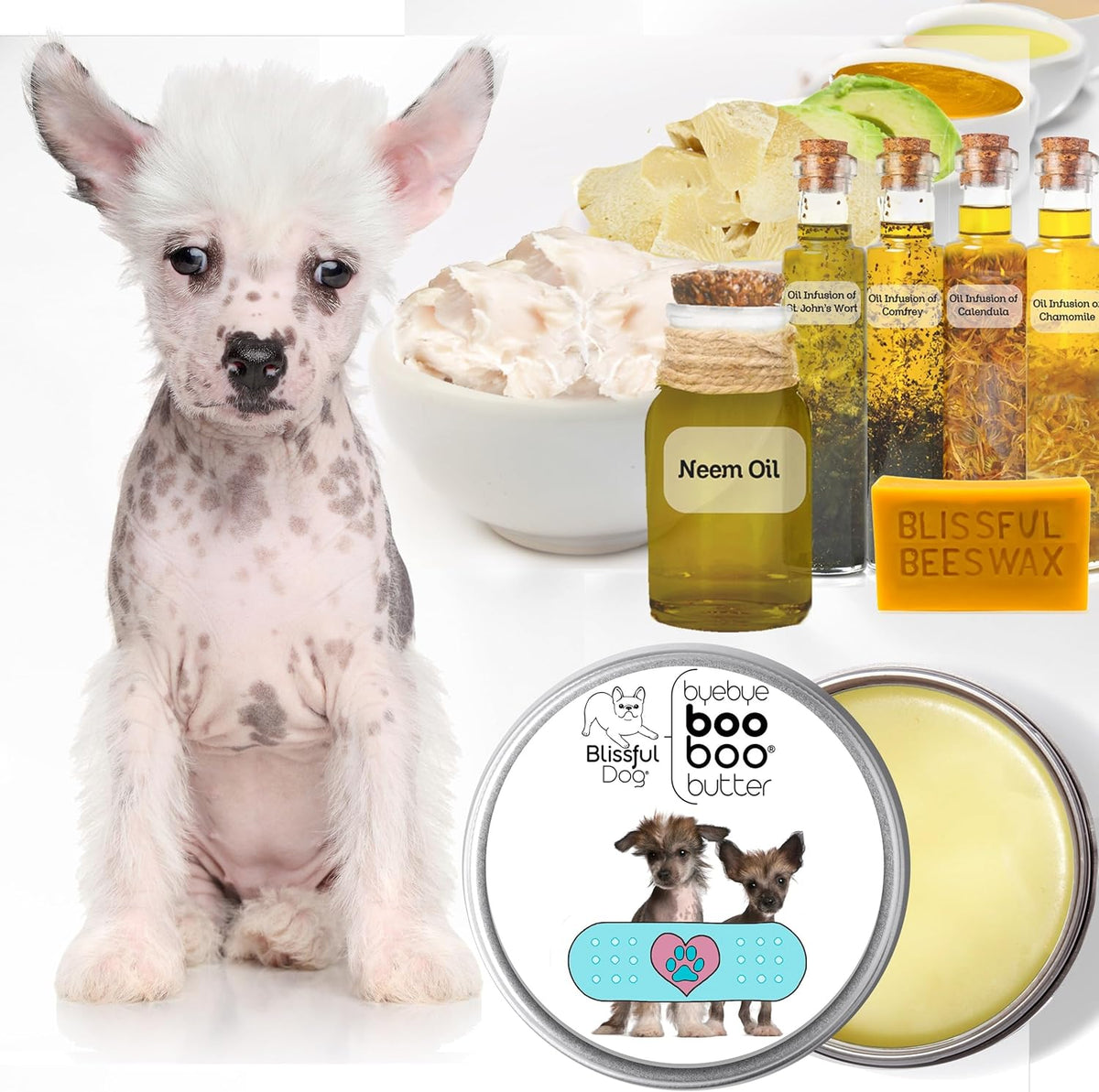 The Blissful Dog Chinese Crested Boo Butter, 4 oz