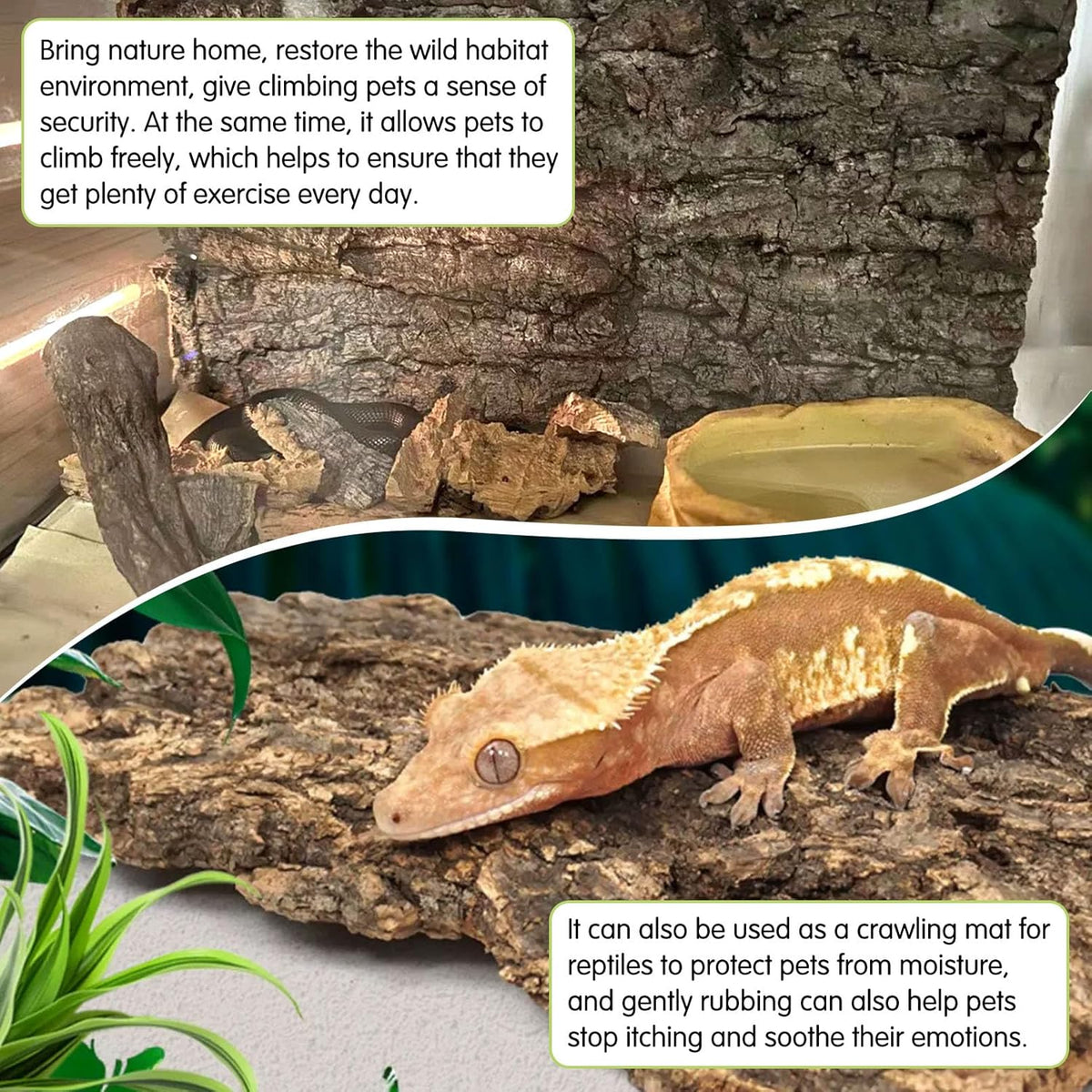 kathson 2Pcs 11.8” L x 11.8” W Cork Tile Background Bark Terrarium Backdrop Wall Decor Cork Bark for Reptiles Reptile Climbing Mat for Spider Gecko Lizard Bearded Chameleon Dragon Turtle Snake