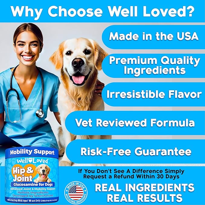 Glucosamine for Dogs - Joint Supplement for Dogs, Made in USA, Vet Developed, Glucosamine Chondroitin, Hip and Joint Chews with MSM, Large Breed, Pain Relief, 120 Chews