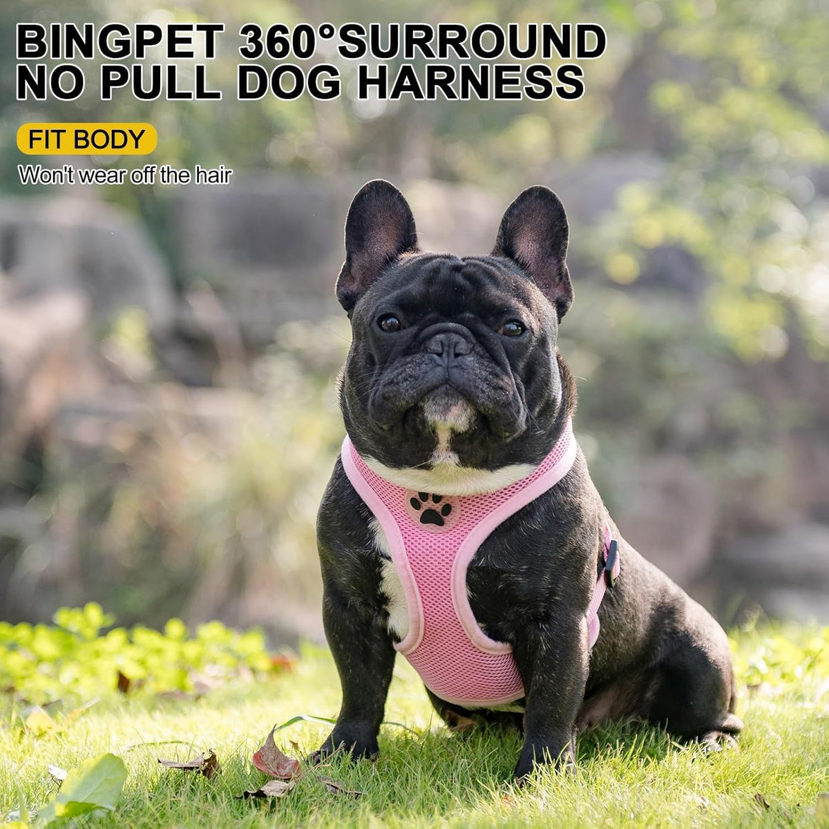BINGPET No Pull Dog Harness,Soft Mesh Breathable All Weather Vest Harness,Safety Protection Design Durable Adjustable Step-in Easy Walk Dog Harness for Small Medium Large Dogs(LightPink,L)