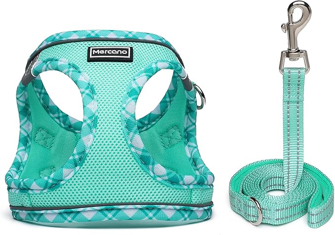 Mercano Soft Mesh Dog Harness and Leash Set, No-Chock Step-in Reflective Breathable Lightweight Easy Walk Vest Harnesses with Safety Buckle for Small Dogs, Cats (Light Green, XS)