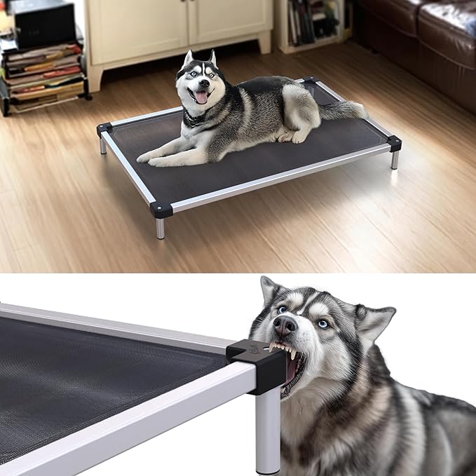 FXW TitanNest Chew-Proof Elevated Dog Bed, Raised Cot for Indoor/Outdoor/Camping Use, Durable & Waterproof Cooling Pet Bed for Medium Dogs, 42.0" L x 27.0" W x 5.0" H, Black