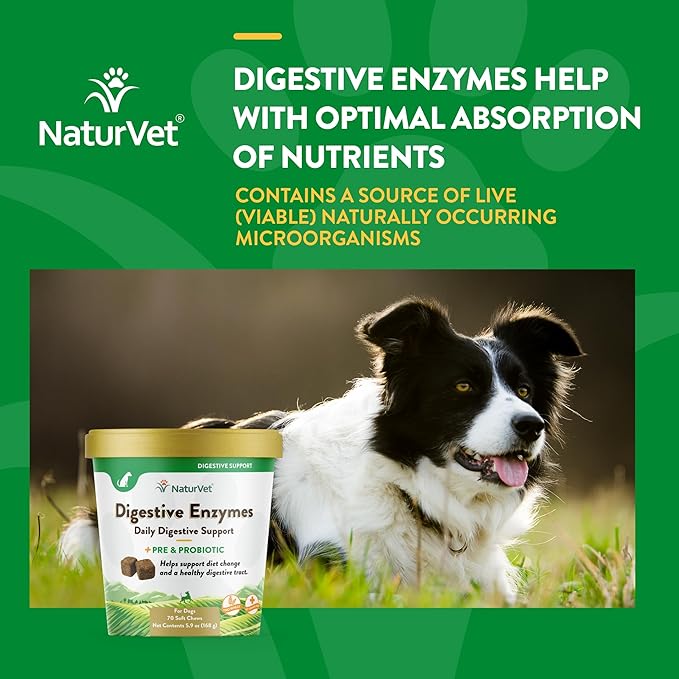NaturVet – Digestive Enzymes - Plus Probiotics & Prebiotics – Helps Support Diet Change & A Healthy Digestive Tract – for Dogs (Soft Chews, 70 Count)