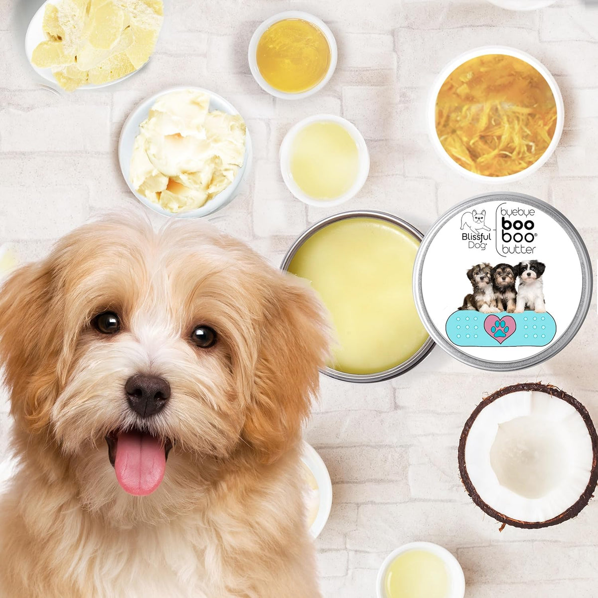 The Blissful Dog Havanese Boo Boo Butter, 8-Ounce