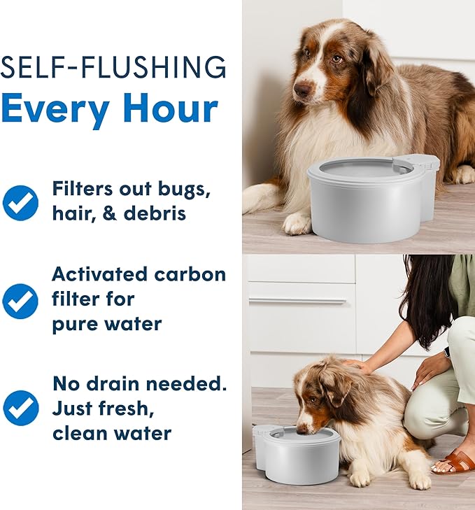 Always Full® 7" Pet Water Bowl and Bottle Pump Bundle, Self-Refilling, Clean Filtered Water, App-Enabled Hydration Monitoring, Easy Upgrade to Wall Unit, Cat and Dog Water Bowls