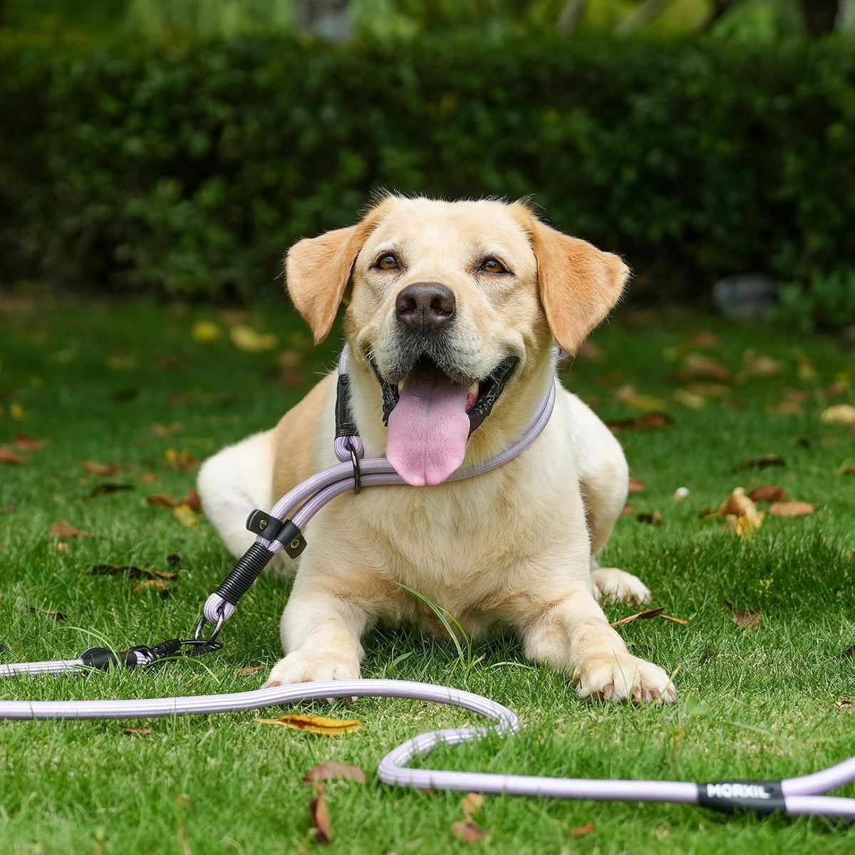 Rope Dog Leash with Two Handles, 6 Foot Heavy Duty Dog Leash with Aviation Aluminum Auto Locking Carabiner, Strong Nylon Pet Lead for Small, Medium, Large Dogs (Purple, 6FT-Two Handle)