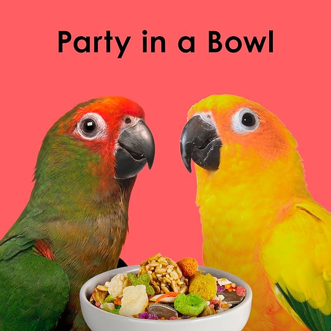 Kaytee Fiesta Conure Food, Nutritious and Fun Blend, Supports Skin, Feather, Digestion, Brain and Heart Health, 4.5 pounds
