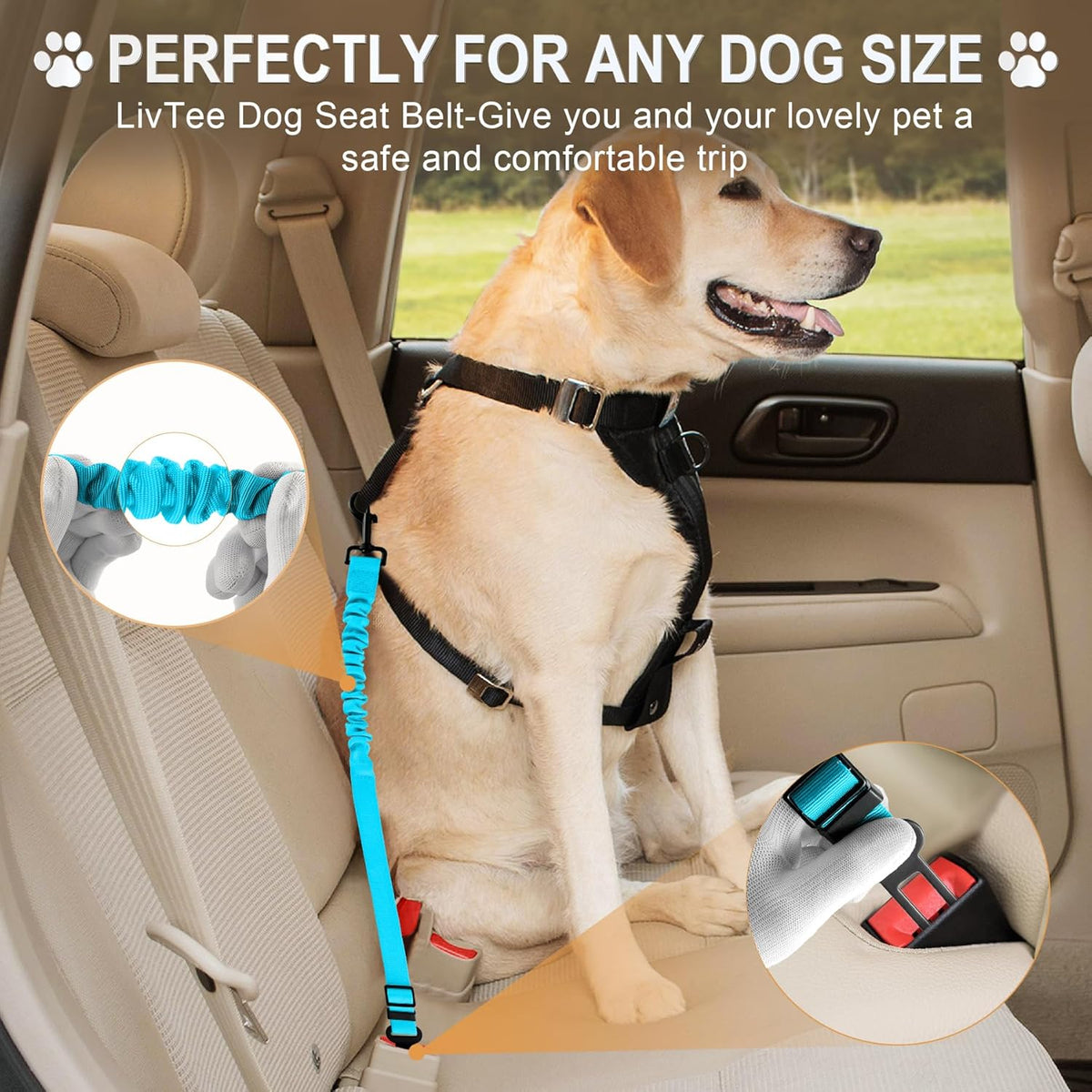 LivTee Dog Seat Belt for Car, Retractable Pet Safety Harness, Adjustable Nylon Dog Seatbelt Leash, Comfortable Dog Accessories for Vehicles (Teal-1PCS)