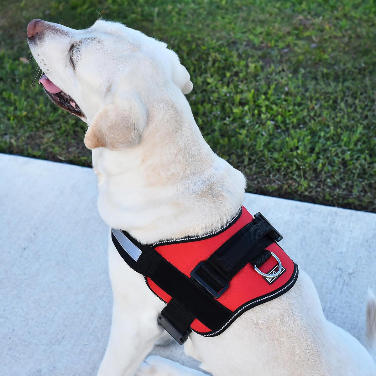 Dogline Dog Harness, Reflective No-Pull Adjustable Vest with Handle, Breathable No-Choke Harness for Small, Medium or Large Dogs Room for Patches Girth 22"-28" in Red
