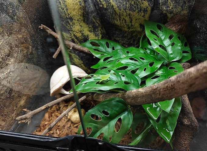 Woyrise Reptile Artificial Plants with Base, Terrarium Decor Amphibian Habitat Plant, Bearded Dragon Tank Accessories fit Gecko Lizard Chameleon Snake Frog - Monstera Adansonni
