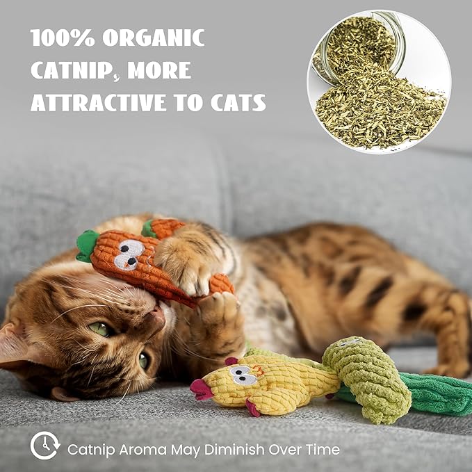 Cat Toys for Indoor Cats, 100% Pure Organic Catnip-Filled Toys Without Cotton, Interactive Cactus Kitten Toy for Anxiety Relief, Soft Cute Teething &Chew Toys, 5 Pack